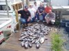 9-9 - Limit catch of sea bass for the Kirkpatrick family and friends.
