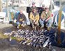 11-5 - Andy Yentzer charter with a haul of sea bass, tog and a bluefish.
